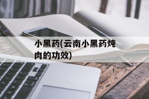 小黑药(云南小黑药炖肉的功效)-第1张图片-