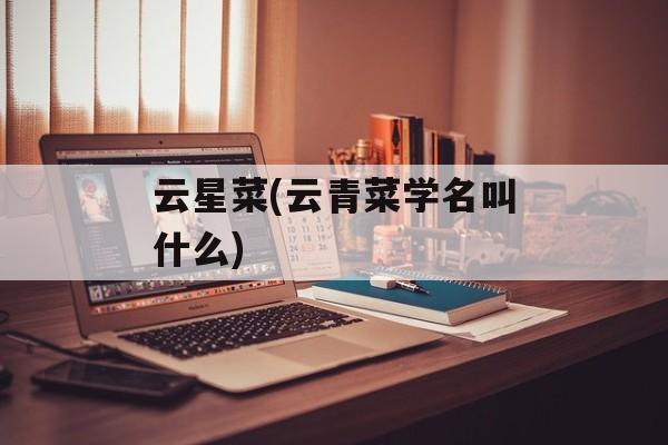 云星菜(云青菜学名叫什么)-第1张图片-