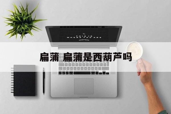 扁蒲 扁蒲是西葫芦吗-第1张图片-
