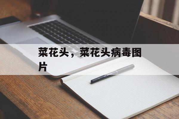 菜花头，菜花头病毒图片-第1张图片-