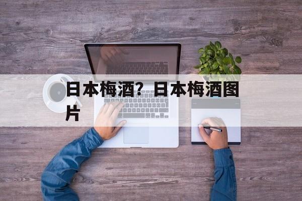 日本梅酒？日本梅酒图片-第1张图片-