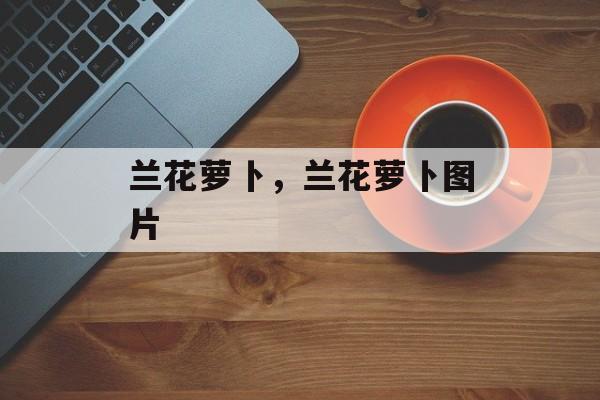 兰花萝卜，兰花萝卜图片-第1张图片-