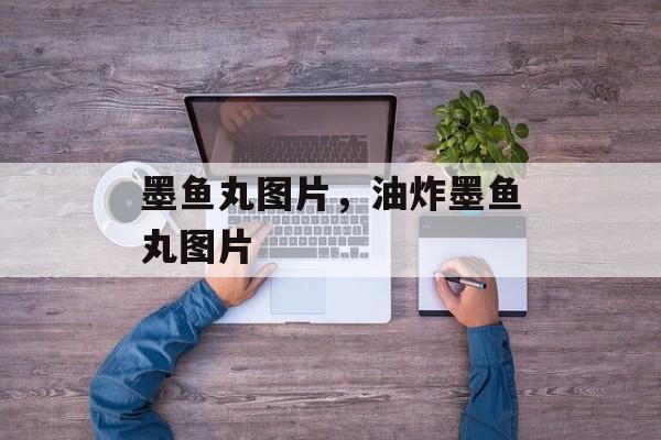 墨鱼丸图片，油炸墨鱼丸图片-第1张图片-