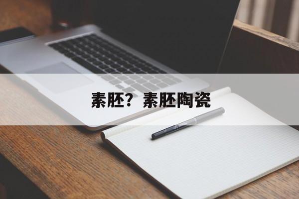 素胚？素胚陶瓷-第1张图片-