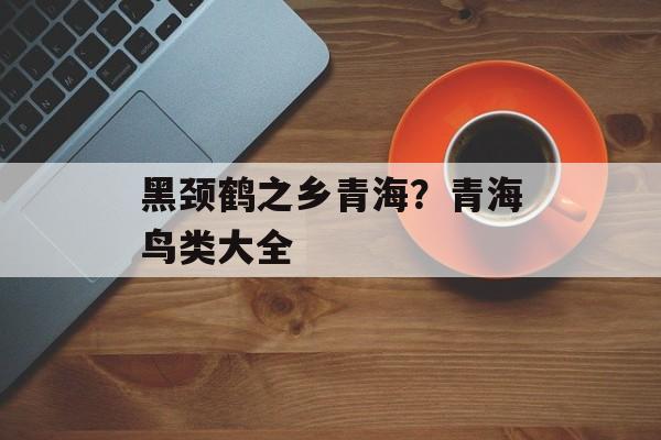 黑颈鹤之乡青海？青海鸟类大全-第1张图片-