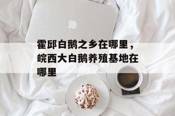 霍邱白鹅之乡在哪里，皖西大白鹅养殖基地在哪里-第1张图片-