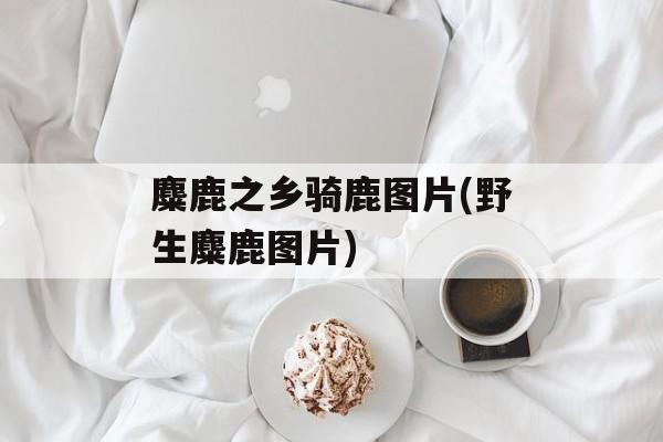 麋鹿之乡骑鹿图片(野生麋鹿图片)-第1张图片-