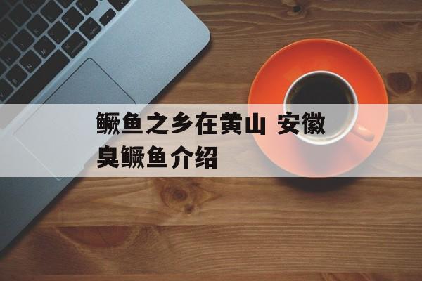 鳜鱼之乡在黄山 安徽臭鳜鱼介绍-第1张图片-