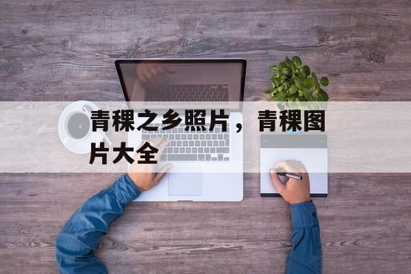 青稞之乡照片，青稞图片大全-第1张图片-