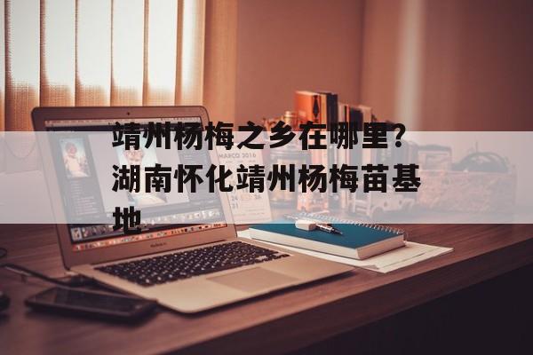 靖州杨梅之乡在哪里？湖南怀化靖州杨梅苗基地-第1张图片-