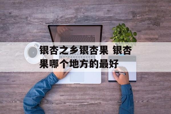 银杏之乡银杏果 银杏果哪个地方的最好-第1张图片-