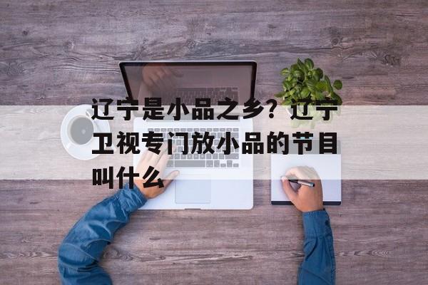 辽宁是小品之乡？辽宁卫视专门放小品的节目叫什么-第1张图片-
