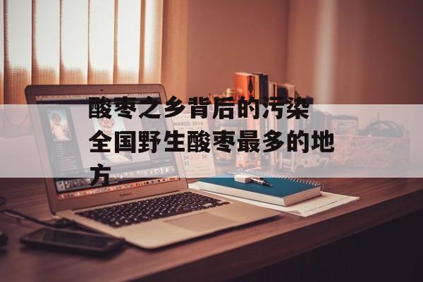 酸枣之乡背后的污染 全国野生酸枣最多的地方-第1张图片-