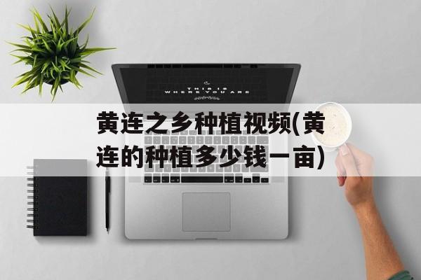 黄连之乡种植视频(黄连的种植多少钱一亩)-第1张图片-