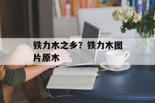 铁力木之乡？铁力木图片原木-第1张图片-