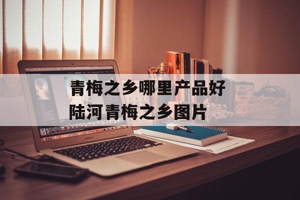 青梅之乡哪里产品好 陆河青梅之乡图片-第1张图片-