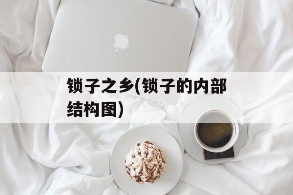 锁子之乡(锁子的内部结构图)-第1张图片-
