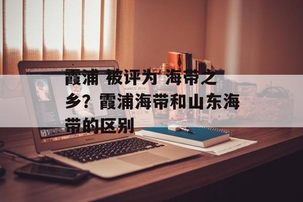 霞浦 被评为 海带之乡？霞浦海带和山东海带的区别-第1张图片-