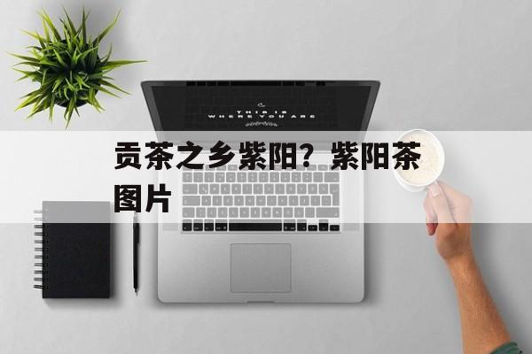 贡茶之乡紫阳？紫阳茶图片-第1张图片-
