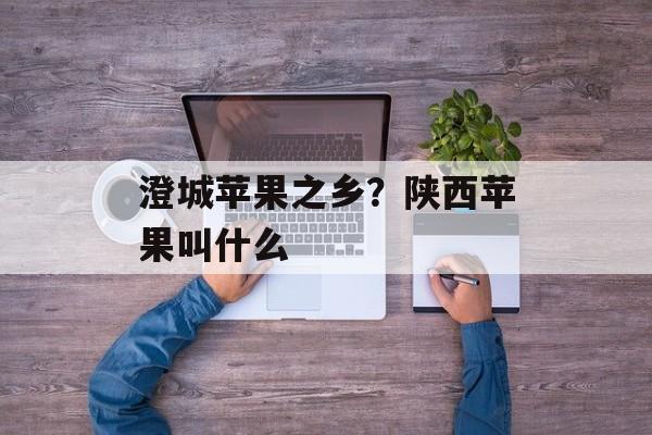 澄城苹果之乡？陕西苹果叫什么-第1张图片-