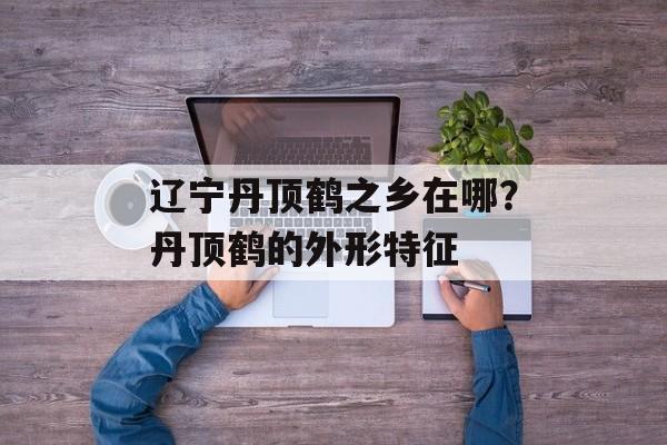辽宁丹顶鹤之乡在哪？丹顶鹤的外形特征-第1张图片-