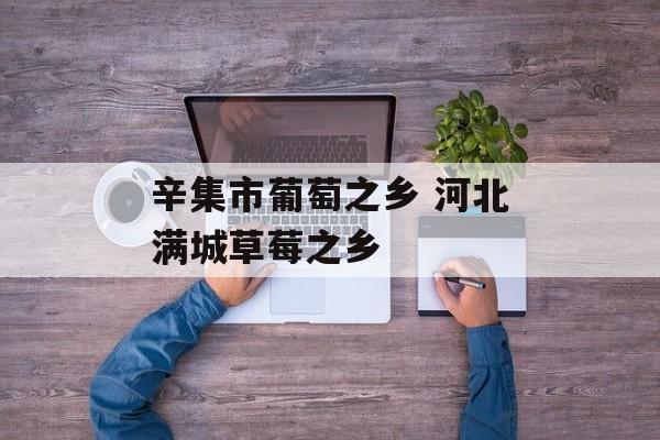 辛集市葡萄之乡 河北满城草莓之乡-第1张图片-