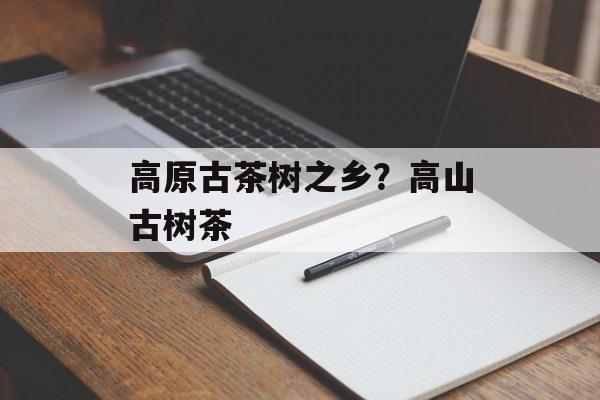 高原古茶树之乡？高山古树茶-第1张图片-