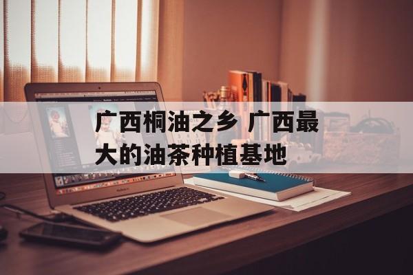广西桐油之乡 广西最大的油茶种植基地-第1张图片-