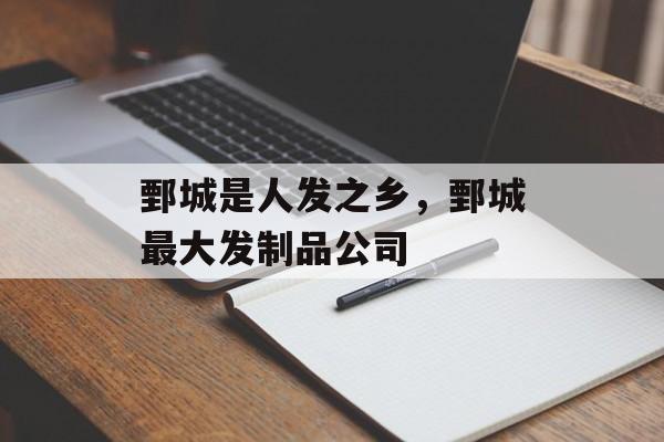 鄄城是人发之乡，鄄城最大发制品公司-第1张图片-