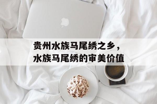 贵州水族马尾绣之乡，水族马尾绣的审美价值-第1张图片-