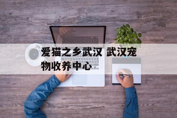 爱猫之乡武汉 武汉宠物收养中心-第1张图片-