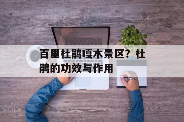 百里杜鹃嘎木景区？杜鹃的功效与作用-第1张图片-