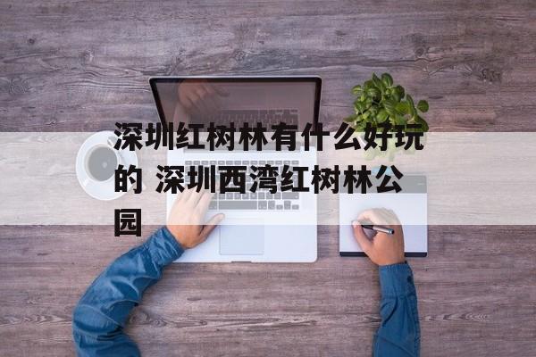 深圳红树林有什么好玩的 深圳西湾红树林公园-第1张图片-