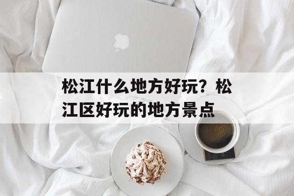 松江什么地方好玩？松江区好玩的地方景点-第1张图片-