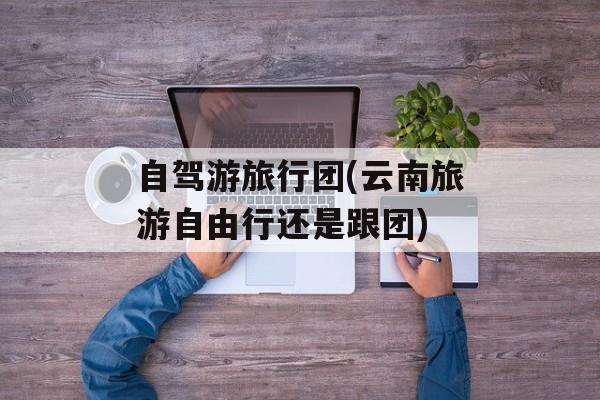 自驾游旅行团(云南旅游自由行还是跟团)-第1张图片-