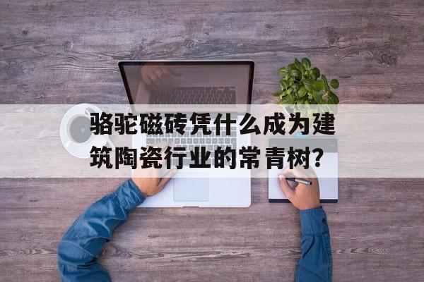 骆驼磁砖凭什么成为建筑陶瓷行业的常青树?-第1张图片- 骆驼磁砖凭什么成为建筑陶瓷行业的常青树?-第1张图片-